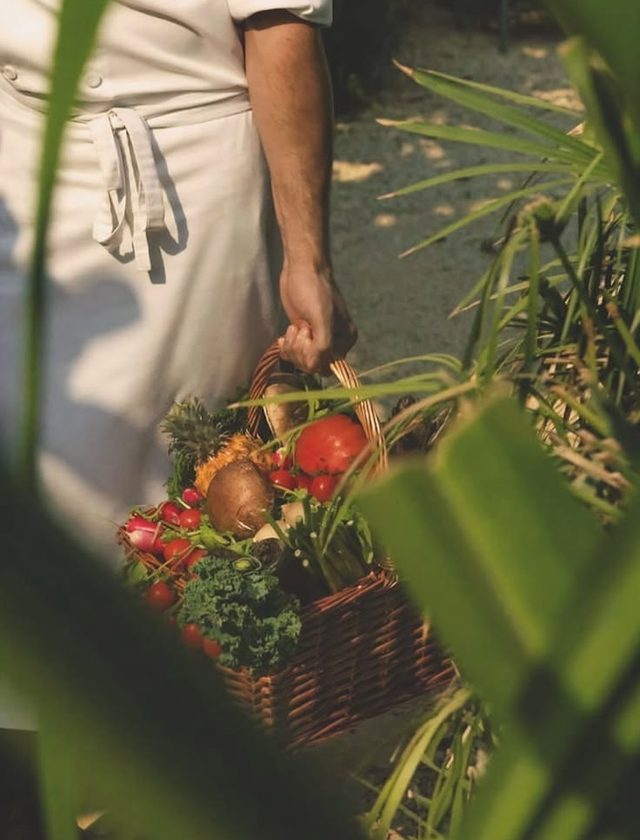 Le panier du potager